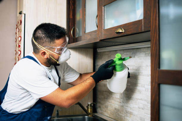 Best Wildlife Control Services  in Oakdale, PA