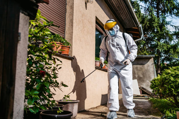 Best Local Pest Control Services  in Oakdale, PA